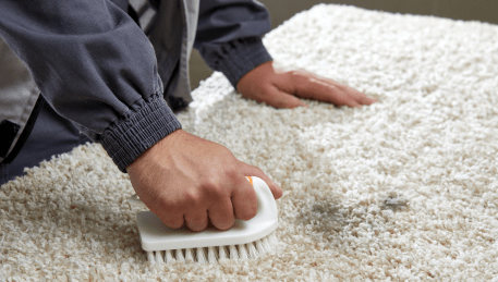 Professional Rug Cleaning Kingsville