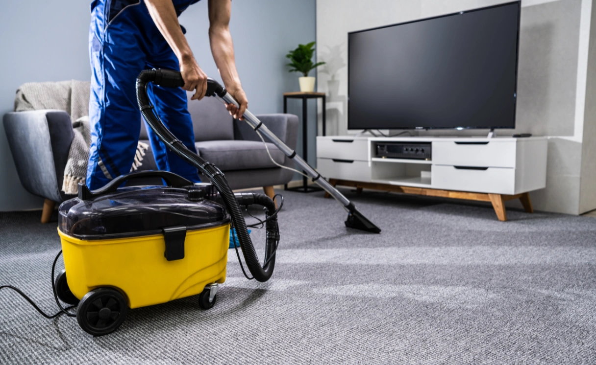 Extract Rug Cleaning Kingsville Contact Office